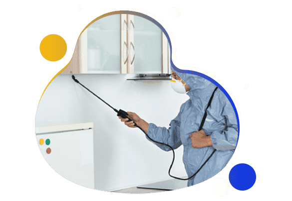 Affordable Pest Control Service